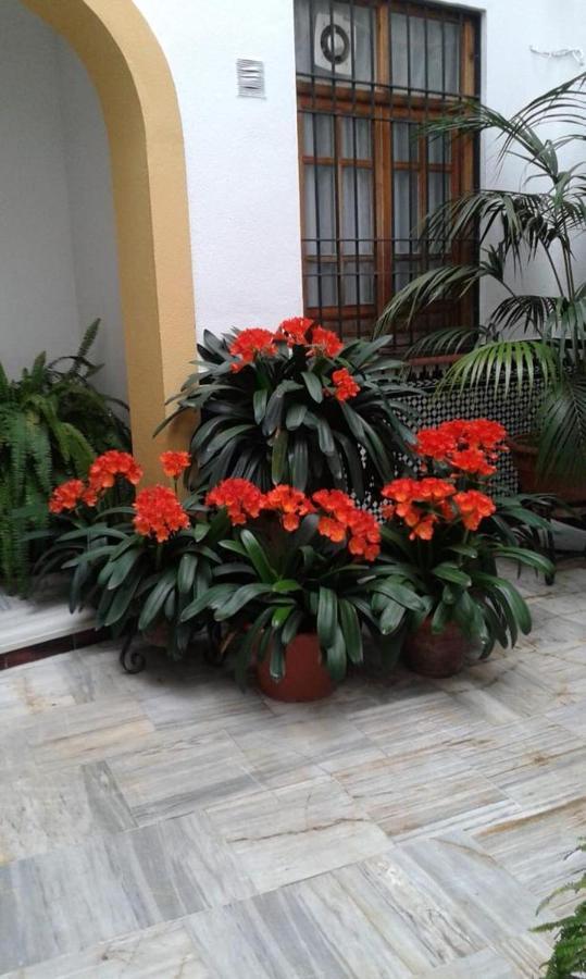 Appartamento Cordoba Centro Esencia Cordobesa. Mezquita Esterno foto